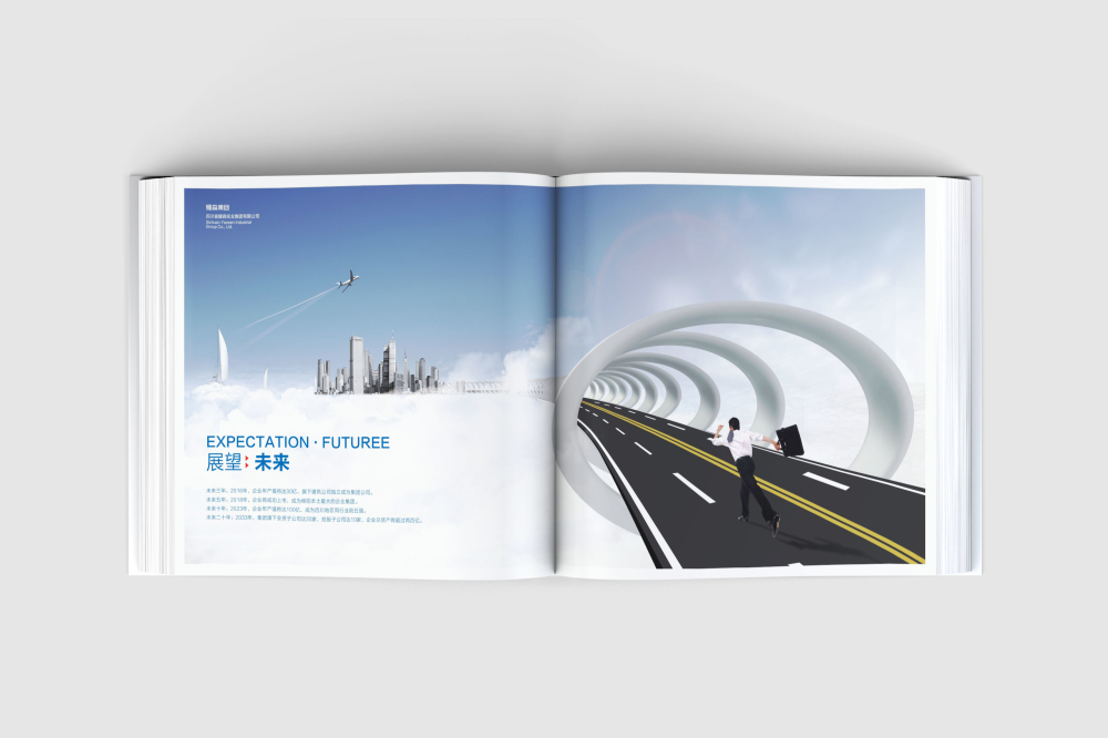 嵊州市画册设计
